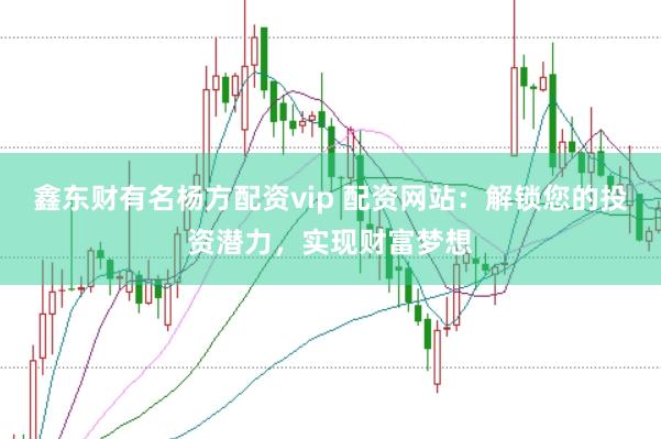 鑫东财有名杨方配资vip 配资网站：解锁您的投资潜力，实现财富梦想